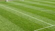 © Studicon - View of freshly mowed soccer field with white boundary lines and a goal post
