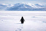 Solitary Penguin’s Journey: An image of a lone penguin navigates across a snowy expanse toward majestic, snow-capped mountains. A captivating story of endurance and exploration.