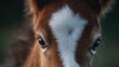 © LukaszDesign - Portrait of a pinto colored warmblood foal in a spring background, backlit to highlight the foals whiskers, featuring a vertical layout with space for text and a green backdrop