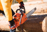 Forestry with chainsaws, an image of primary industry Cutting timber (Tama Timber Center Cooperative Property Permission Granted) Close-up without a face