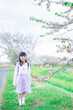 © maroke - 桜が咲く中登校する小さな女の子