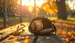© wirbron - Vintage Baseball Glove and Ball on Wooden Bench in Autumn Park with Sunlight