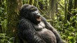 © Mio - Yawning Gorilla(あくびをするゴリラ)
