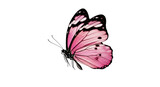 Pink butterfly PNG isolated on transparent background, beautiful insect with detailed wings for design and decoration projects