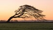 © AddStylerz - A solitary bare tree bends dramatically under strong wind gusts against a vibrant orange and pink sunset sky