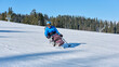 © Alex - skier in a special seat on skis