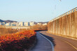 © Geumho river - 금호강 산책로