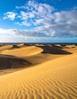 © Syafira - Sand Dunes of Maspalomas - A Desert Landscape by the Sea.