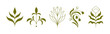 © venimo - Vector set of logo design templates and graphic elements, organic cosmetics, floral illustration in simple linear hand drawn style, plants and flowers, natural products emblems