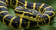 © mohamed - Close-Up of Snake with Black and Yellow Pattern Generative AI.