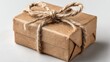 © MKS - A brown kraft gift box, tied with twine, on a light background for holiday, birthday, or special occasion giving