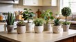 © JohnLee - Different potted artificial plants on countertop in kitchen, space for text. Home decor