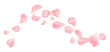 © elialady - Soft realistic pink flower petals flying in elegant arc. Romantic floral elements isolated on white background, perfect for wedding, love and spring designs