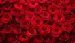 © Katrina - natural fresh red roses flowers pattern wallpaper top view red rose flower wall background