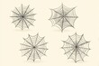 © Cendana - Four stylized spider webs of different designs, rendered in grayscale, on a cream background
