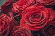 © Anastasiia Kasina - Background of red roses with drops of water