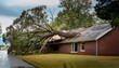 © Juana - a large tree falls on a house roof causing considerable damage after a strong storm