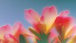 © pier - ultra close up lush flowers against deep blue sky background