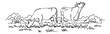 © Oksi - Hand drawn line art farm animal set featuring two cows grazing and standing in a pasture for agriculture and dairy themes