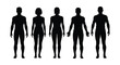 © mrvect02 - Five human figures arranged in a row displaying varied body shapes on transparent background silhouette high quality professional detailed modern elegant