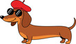© jafrine - Cute dachshund dog wearing beret and sunglasses cartoon pet illustration