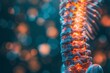 © nsit0108 - Spinal column glowing with inner strength and vitality on blurred background
