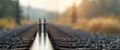 © The 2R Artificiality - Electrical insulators captured with selective focus macro shot on a blurred railway track