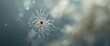 © AImmersive Imagery - Lugol preserved sample of Marine diatom, Odontella sp or Trieres sp (new taxonomy), in selective focus