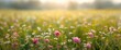 © NeuralNiche - Daisies and camellias blooming in a vibrant green field, perfect for natural postcard and wallpaper backgrounds with soft bokeh banner