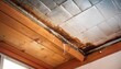© Diane - roof leakage water dameged ceiling roof and stain on ceiling