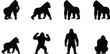 © It's Sahed - Silhouette Collection of Eight Gorillas Showing Different Poses on White Background primate black