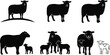 © Ashrat - Black vector silhouette set of six diverse sheep and lambs including ewes with their offspring for livestock farming organic agriculture and rural countryside design,