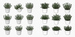 © MuammarAuliyan - Set of potted thyme plants in various styles for culinary and decorative use.