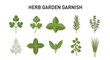 © Faisal - Ten illustrations of different green herbs are arranged in two rows under a title