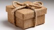 © LuDo - Brown kraft present box, twine‑tied, set on a light background for holiday, birthday, or special occasion gifting