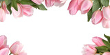 Elegant floral border made of soft pink tulip flowers and green leaves arranged along the top edge, creating a romantic frame with generous copy space on a transparent background.