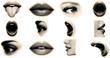 © DesignVectX - Halftone pop art sticker sheet close up fragmented facial features collage with lips eye nose mouth profiles in vintage beige vector