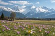 © Anastasiia Kasina - Blooming spring flowers in spring at the background of snow mountains
