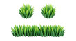© PrimePixel Co - Green Grass Border 3D Render Illustration Cartoon Tuft Vegetation Frame Fresh Meadow Lawn Field Plants Spring Summer Nature Design isolated on PNG transparent background