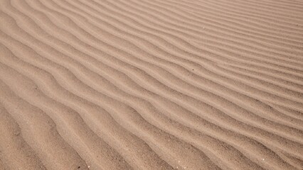  Close-up sandy beach texture sand clearly visible light beige color background blurred allowing viewer focus