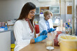 © Graphicroyalty - Young Female Scientist Smiling While Working in Lab, Healthcare and Medicine concept. Professional researcher conducting experiment with Petri dishes and colleague, biotechnology research at work.