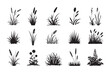© Md - Black silhouette collection of different garden shrubs and grass patches for landscape architecture