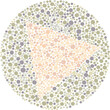© Nawassyarif . - Color blind test plate with a hidden triangle shape in Ishihara style dots, concept of vision diagnostic and ophthalmology.