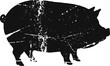 © smth.design - Black vintage pig silhouette with distressed texture on white background