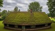 © DIAN - Rustic Gable Roof Covered In Lush Green Moss With Chimney And Surrounding Trees