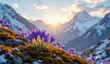 © rustamank - Spring background - view of the fresh purple crocuses blooming against the background of snowy mountains. Created using generative AI tools