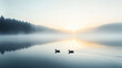 © Phirakhup - Morning mist hovering over lake surface with two ducks swimming peacefully near forest edge at sunrise, creating calm and serene atmosphere