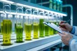 © Jason - lab scientist checking tubes with algae liquid. Biofuel and future energy research