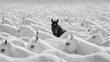 © Anastasiya Ri - Lone black horse standing in a vast herd of white horses captured in black and white symbolizing uniqueness and individuality ideal for concept art and editorials