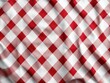 © Hryhor Denys - Classic red and white gingham tablecloth with folds for a festive barbecue celebration